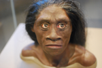 Homo floresiensis